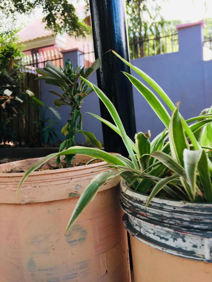Apartamento Ava Garden Backpackers Mto wa Mbu Exterior foto